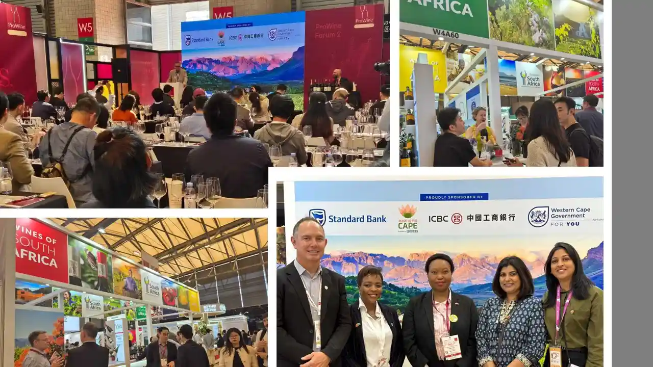 Photographs of Wesgro team from events held in China