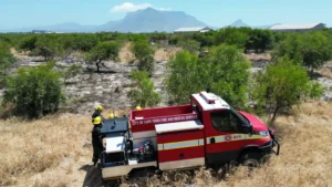 Safety and Security Directorate with Fire & Rescue Service team to manage vegetation fires 