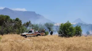 Safety and Security Directorate with Fire & Rescue Service team to manage vegetation fires 