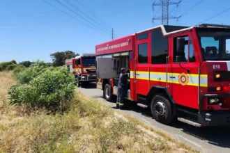 Safety and Security Directorate with Fire & Rescue Service team to manage vegetation fires