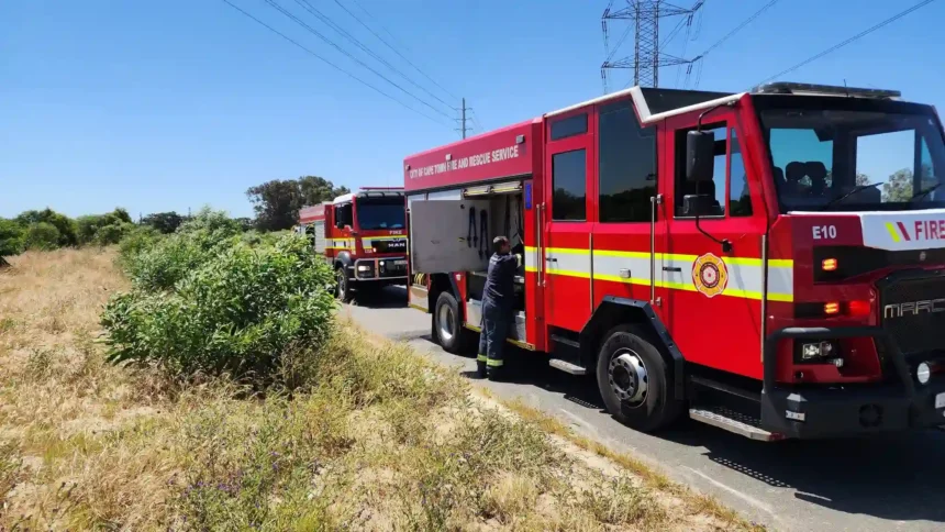 Safety and Security Directorate with Fire & Rescue Service team to manage vegetation fires