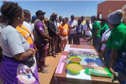 Dowa District Council calls for quick action against GBV