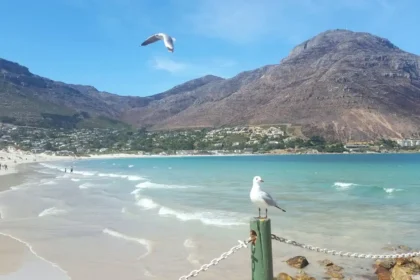 Sealand Gear in Hout Bay, Cape Town