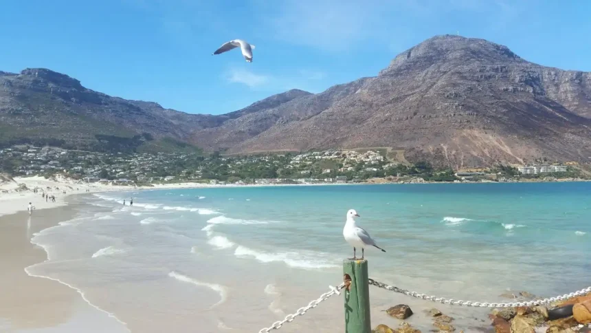 Sealand Gear in Hout Bay, Cape Town