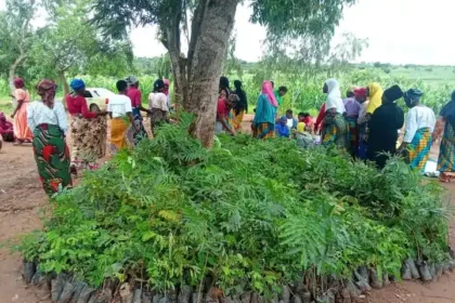 Community Energy Malawi calls for tree planting in graveyards, Image: facebook
