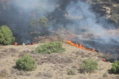 Alex Lemarkoko visits wildfire affected areas to see damage