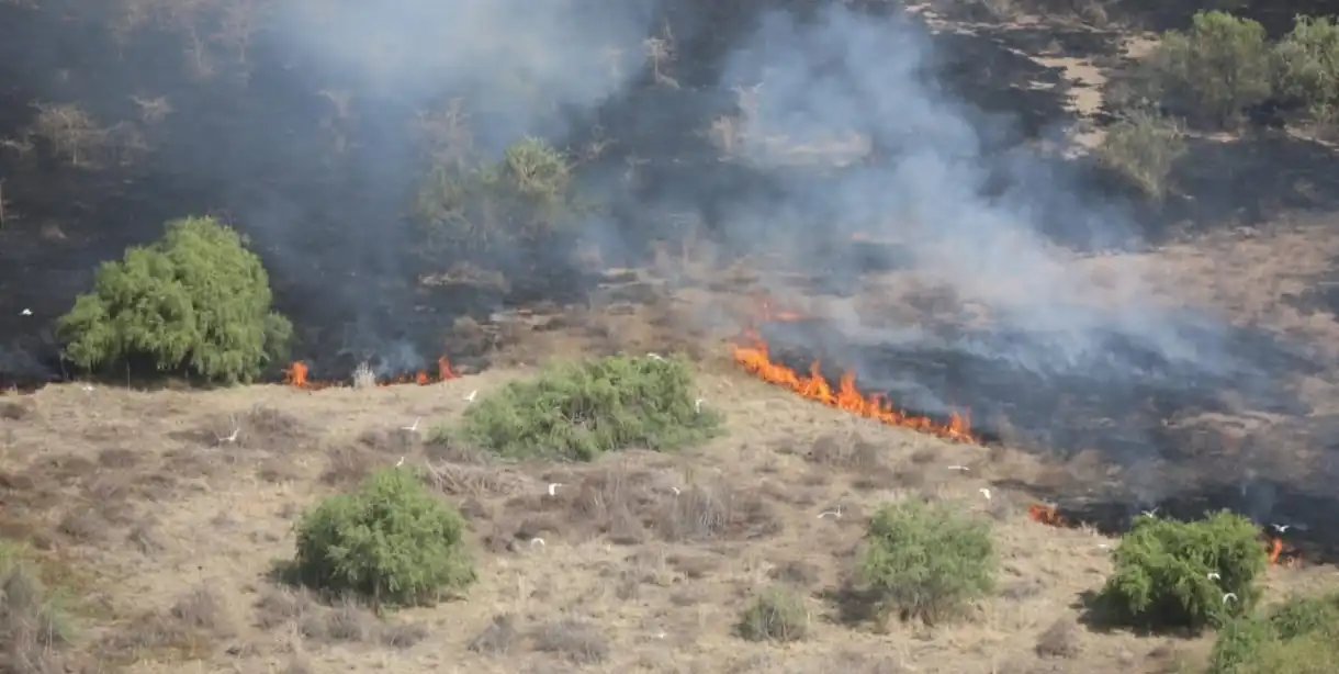 Alex Lemarkoko visits wildfire affected areas to see damage