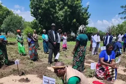 Community Energy Malawi plants 5000 treees in Karonga District, IMage: Facebook