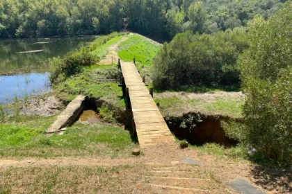 Fynbos Dam in Majik Forest, Bellville, Cape Town