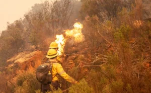 Photograph shared by Volunteer Wildfire Services of Tokai Wildfire in Cape Town