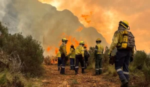 Photograph shared by Volunteer Wildfire Services of Tokai Wildfire in Cape Town