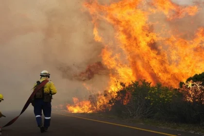 Representative image of Tokai and Silvermine wildfire