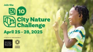 Poster for City Nature Challenge 2025 in Cape Town