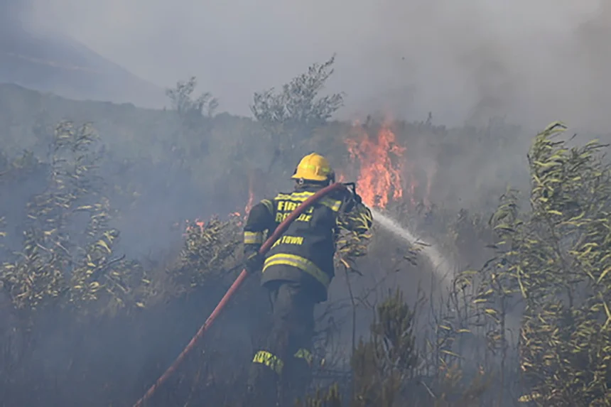 Representative image of Tokai Fire, Cape Town