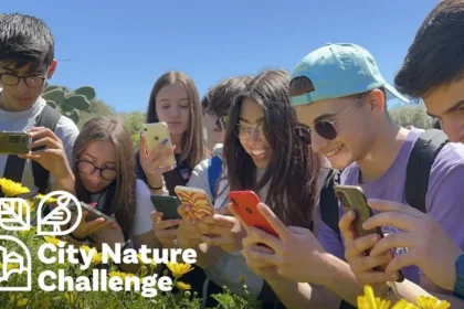 City Nature Challenge held in Cape Town