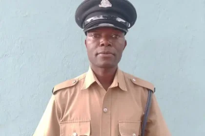 Chitipa Police arrests 28 year old for streetlight theft