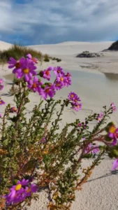 Photograph of nature from WANR