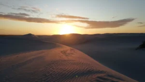 Photograph of nature from WANR