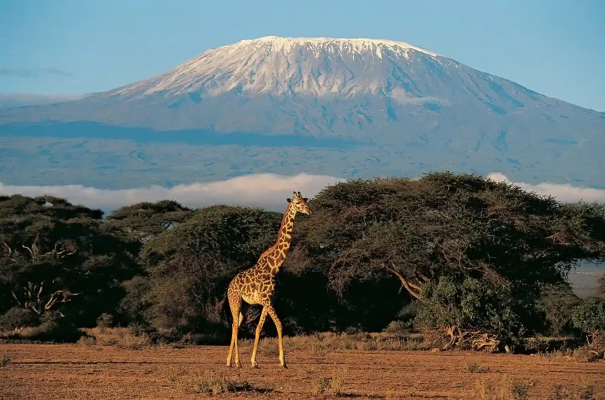 Photograph of Mt. Kilimanjaro in Tanzania, Africa