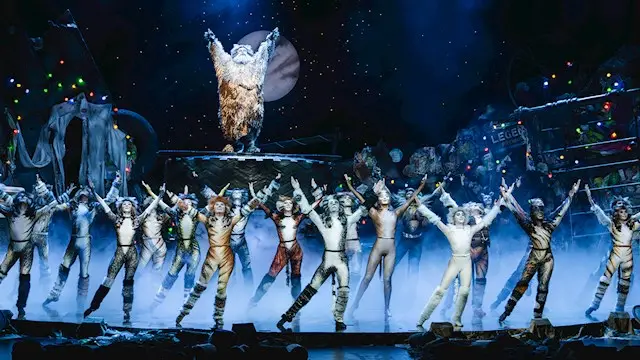 CATS while performing their musical show