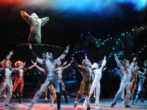 CATS while performing their musical show