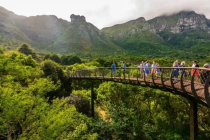 Kirstenbosch National Botanical Garden in Cape Town