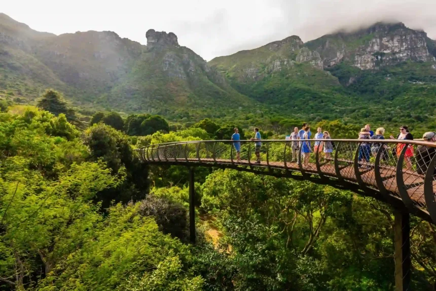 Kirstenbosch National Botanical Garden in Cape Town