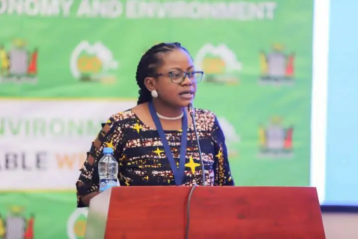 The Ministry of Green Economy and Environment, in Zambia is working with ZEMA to look into the increased nature crimes in the region, Image: facebook