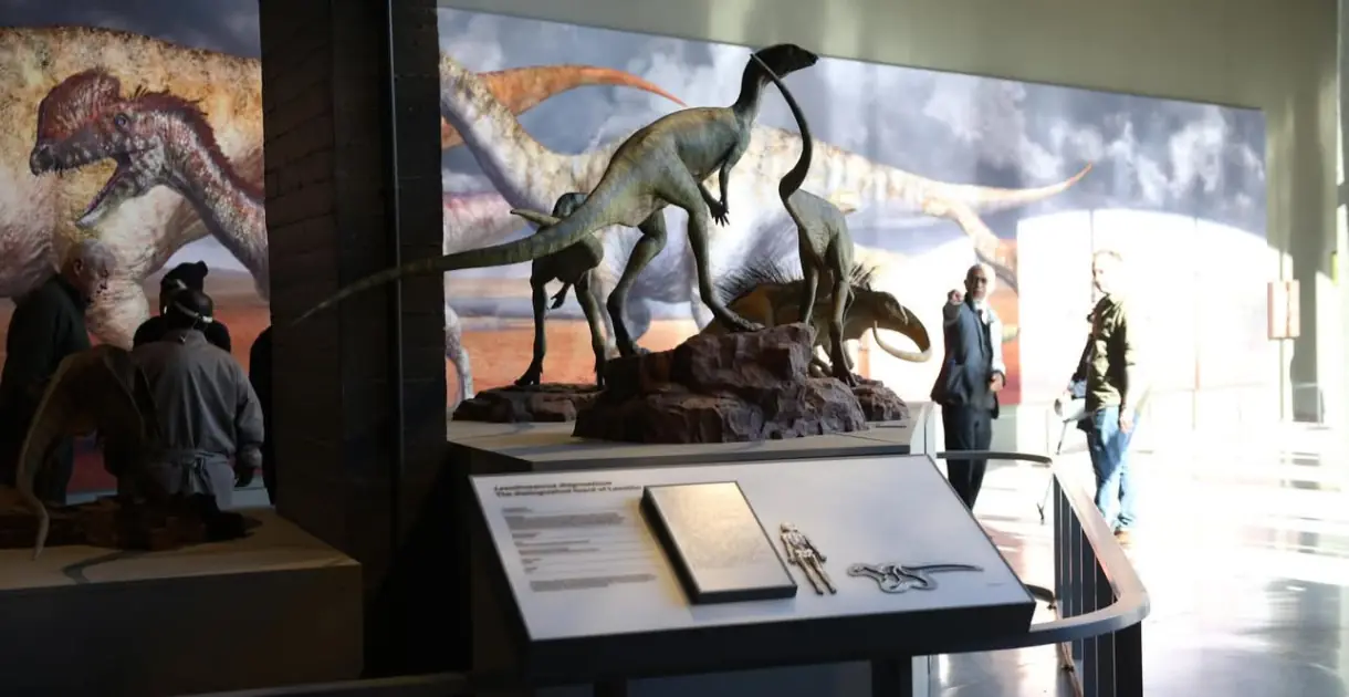 Kgodumodumo Dinosaur Interpretation Centre opens