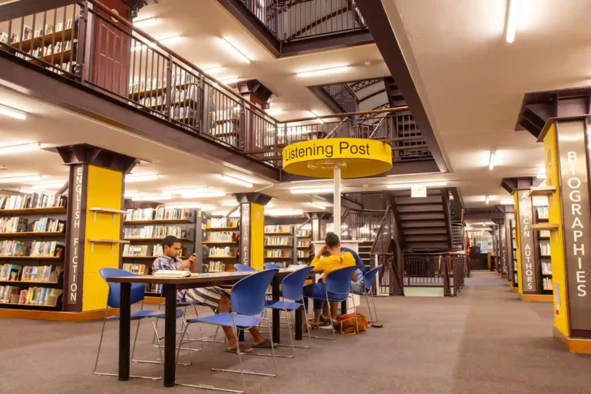 Fine Free Week in Cape Town Libraries