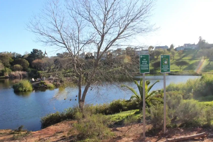 Rosendal Dam, Cape Town