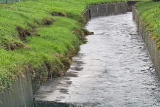 Cape Town Southfield Canal