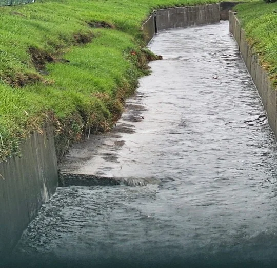Cape Town Southfield Canal