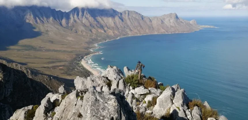 Cape Town Biodiversity