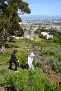 Photograph from Schapenberg Nature Reserve, Cape Town