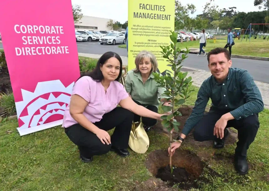 Alderman Theresa Uys planting trees marking Arbor Month in Cape Town