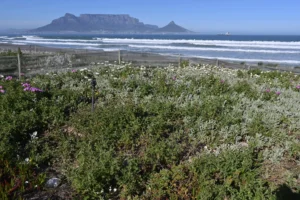 Table View Beachfront site in Cape Town