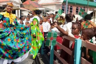 Representative image from Independence Day celebrations in Dominica