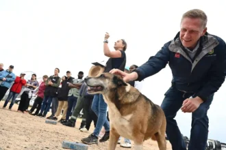 Alderman JP Smith during Domestic Animal Survey in Cape Town