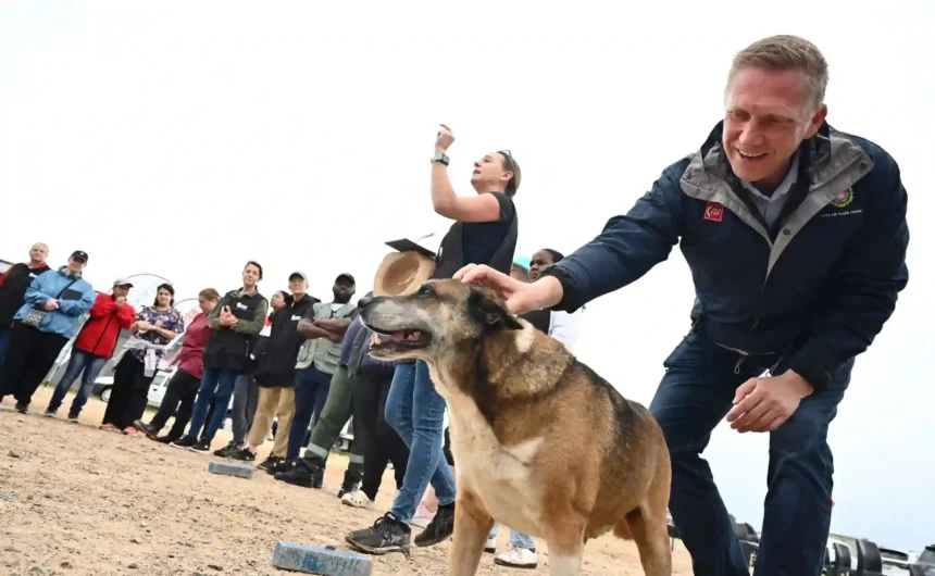 Alderman JP Smith during Domestic Animal Survey in Cape Town