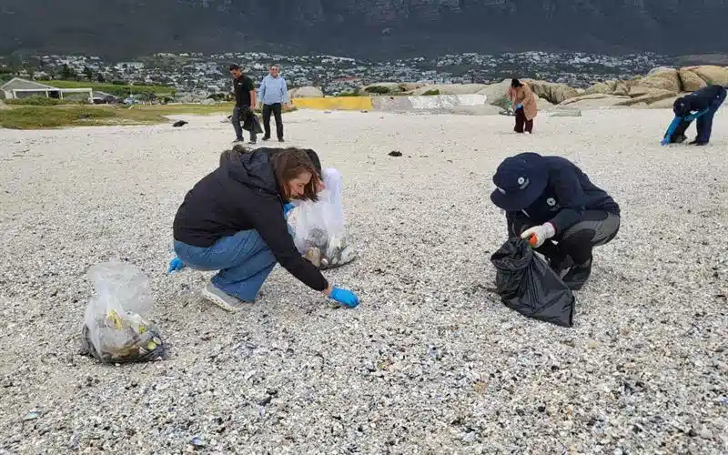 Councillor Francine Higham keeping Cape Town Beaches safe and clean