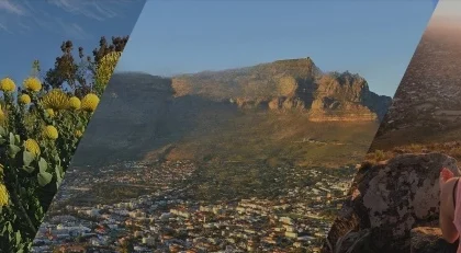 Cape Town Collaboration Platform Shaping Future