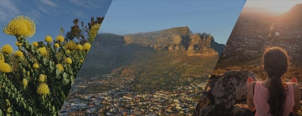 Cape Town Collaboration Platform Shaping Future