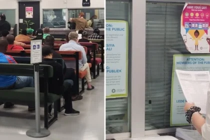 Cape Town Vehicle Licence Renewal