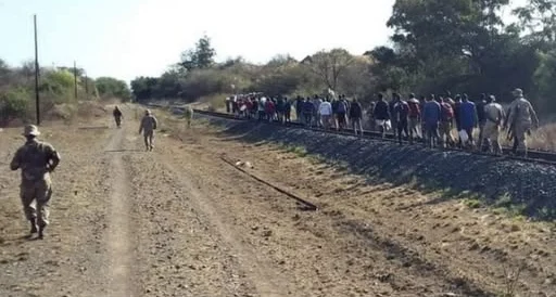 Zimbabweans entering illegally in South Africa