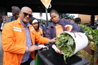 Food Waste Management in Cape Town