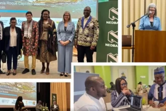 Successful 2025 of Wesgro