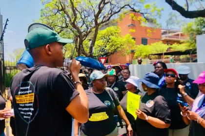 Early Child Development (ECDs) Centres in Cape Town