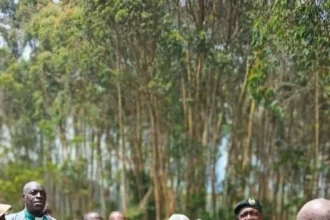 Kenya Forest Service Officers