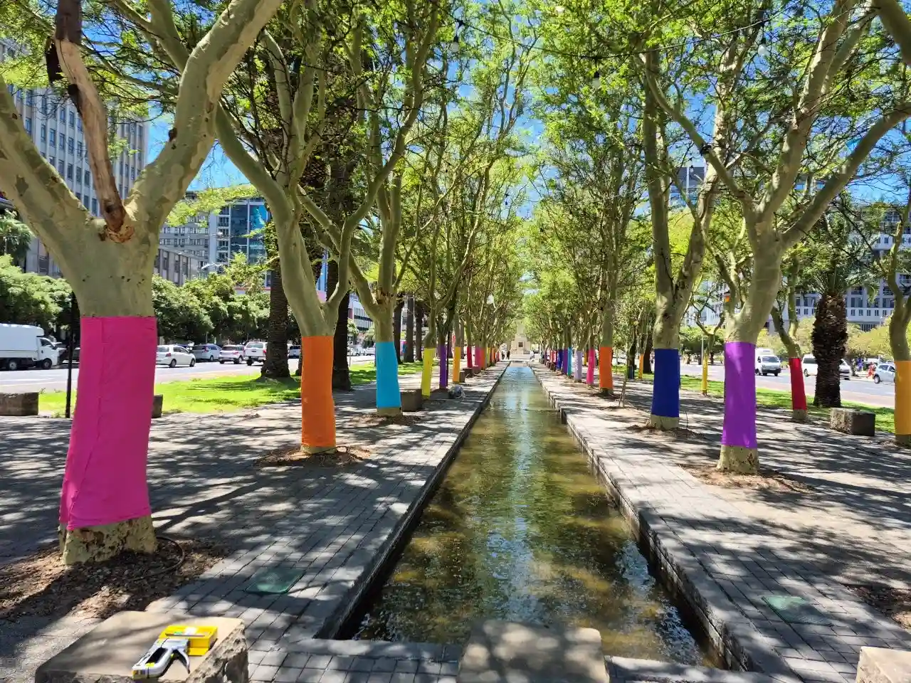 Heerengracht trees wrapped in pastels by Cape Town CCID